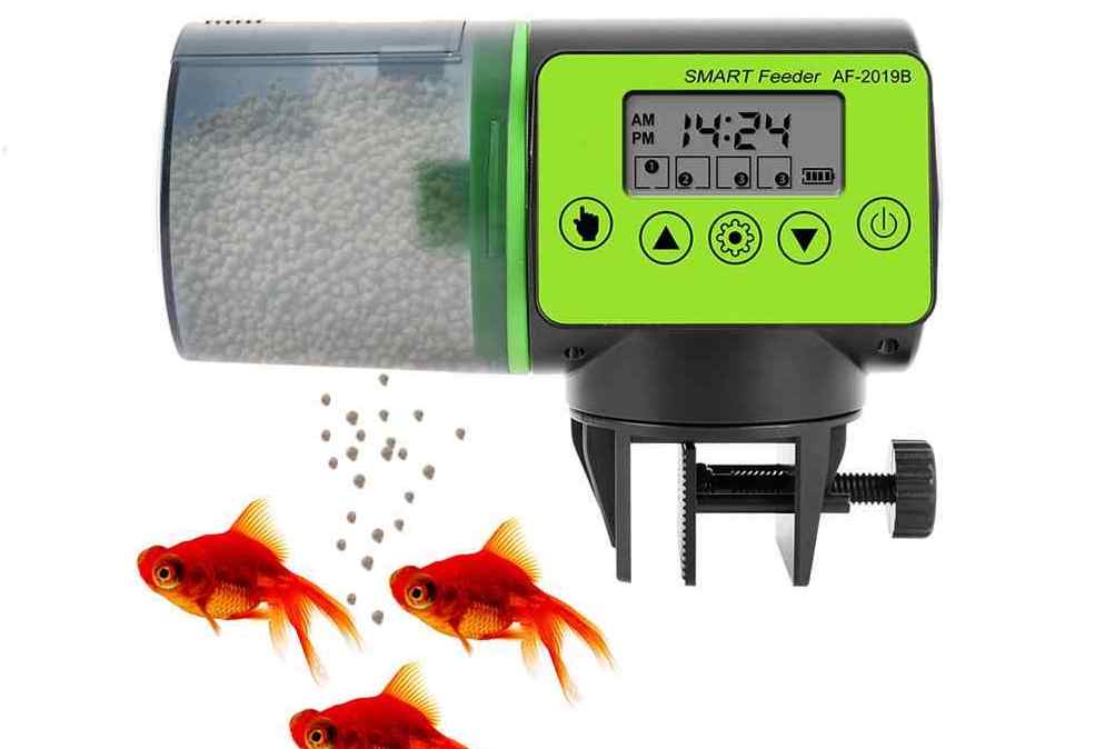 Best Automatic Fish Feeders in 2024 The Aquarium Guide