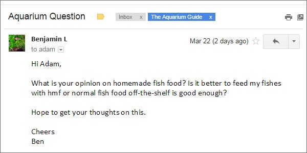 Homemade Fish Food Question