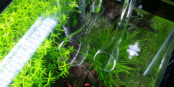 Aquarium Fish Tank Lily Pipe Connected To Inlet Outlet Pipes Lily
