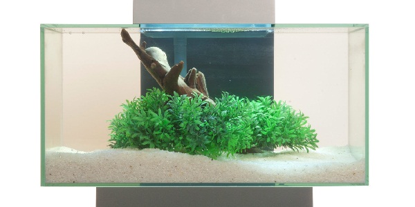 Fluval Aquariums - Complete Overview with Pros and Cons