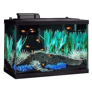 Best Aquarium Guide: Choosing the best 