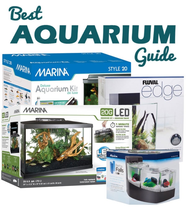 best aquarium guide