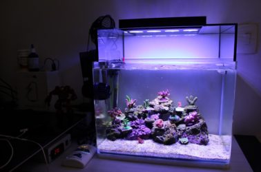 nano reef tank