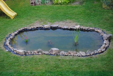 pond garden