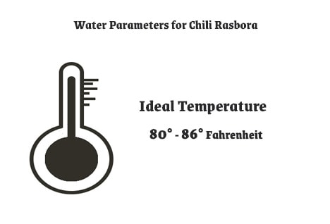 Water Parameters for Chili Rasbora