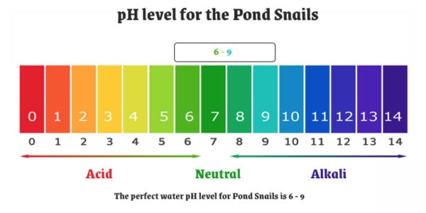 pH level for the Pond Snails