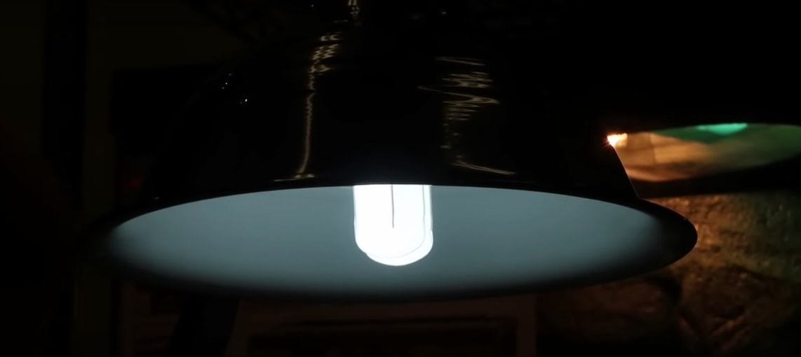 Do Turtles Need A Heat Lamp? The Aquarium Guide