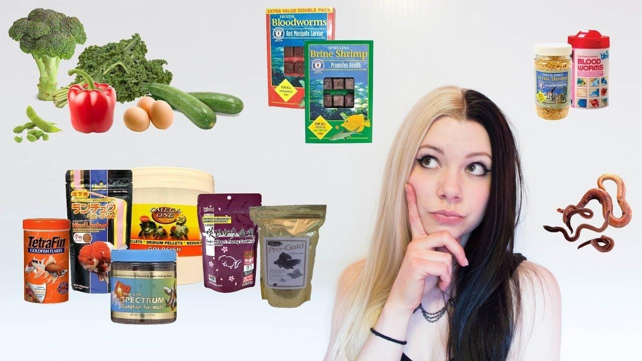 How Long Can Goldfish Go Without Food?