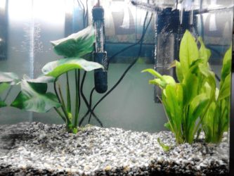 quiet fish tank filter