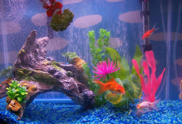 Koi Betta Fish Aquarium Decorations 