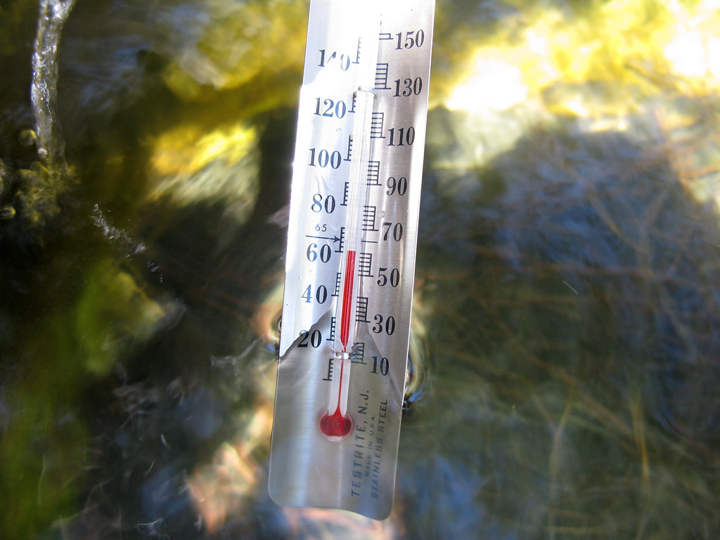 water temperature for goldfish fish