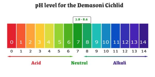 Demasoni Cichlid pH value