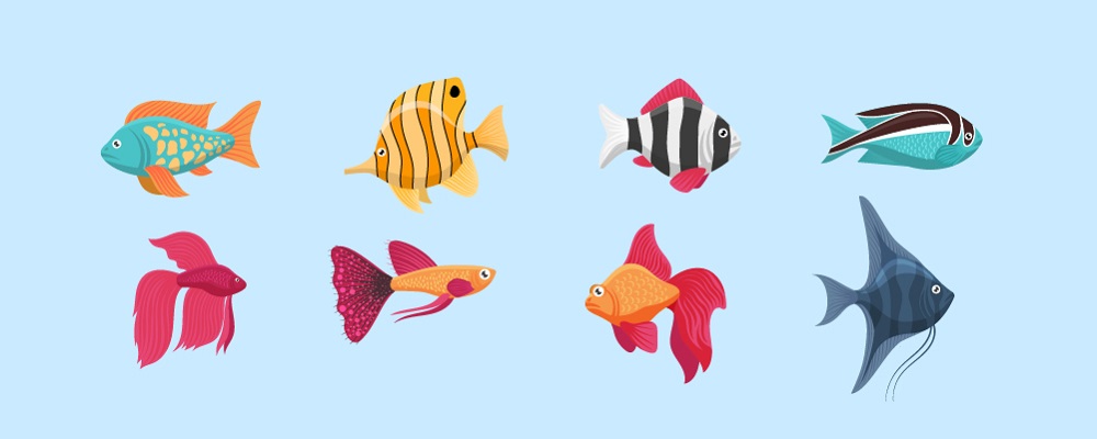 Get To Know Your Chosen Fish Species