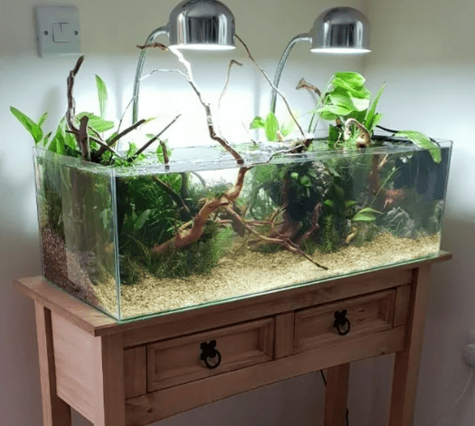 Self-Cleaning Tank