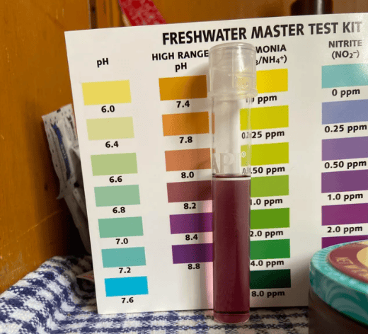 Best Aquarium pH Tester