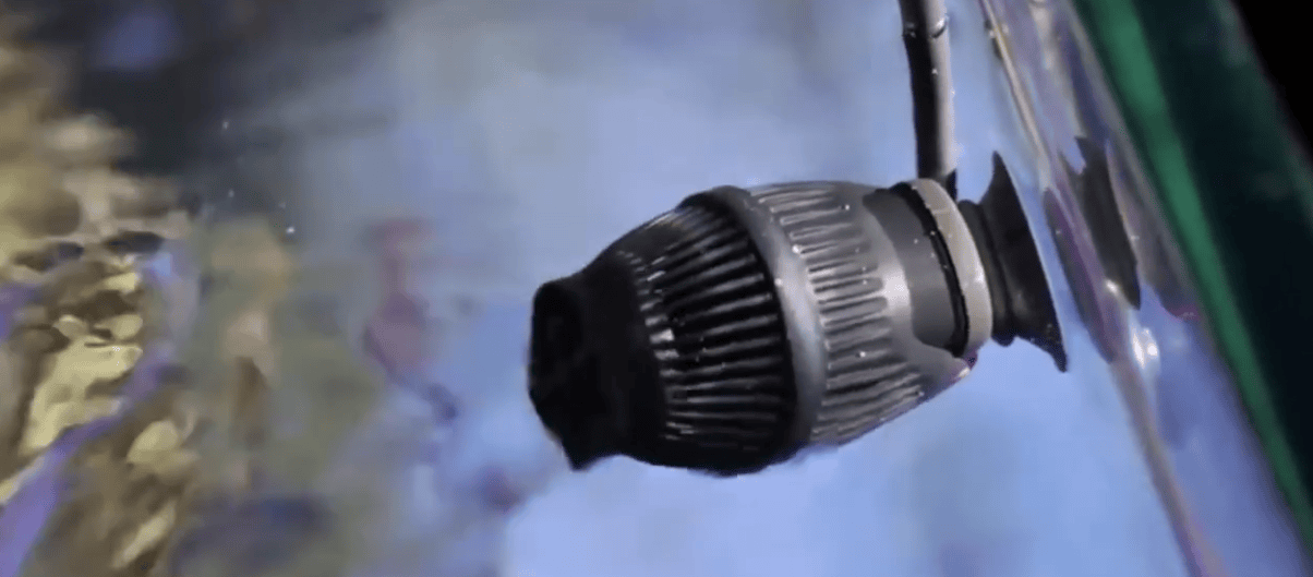 Best Wave Makers for your Aquarium The Aquarium Guide