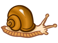 Snail